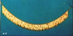 jth17.JPG (4675 bytes)
