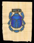 pth20.jpg (4282 bytes)