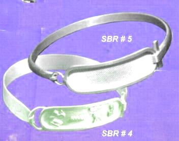 sbrth04.JPG (5371 bytes)